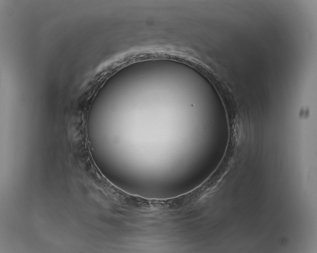 X0000113371494200909221210
