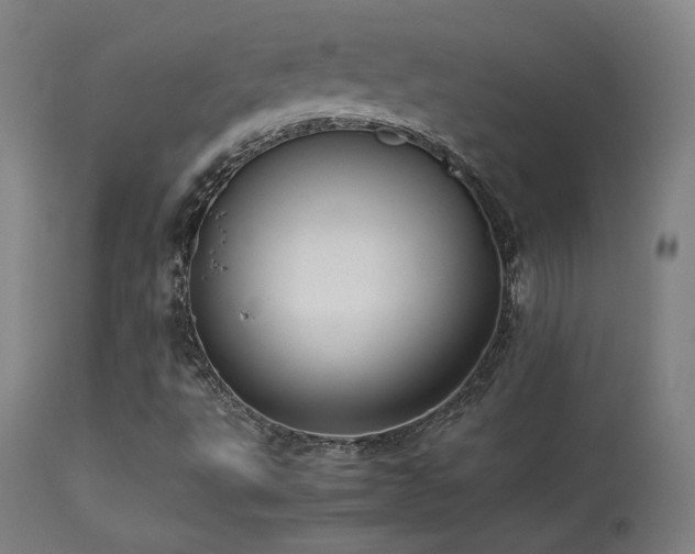 X0000113371495200909221210