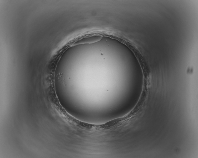 X0000113371496200909221210
