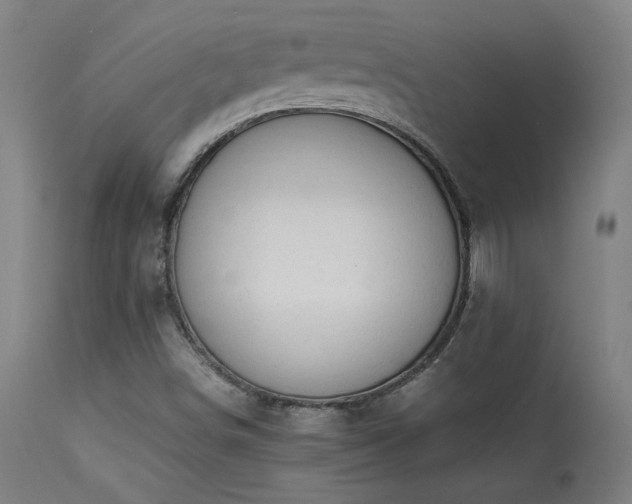 X0000113371498200909221210
