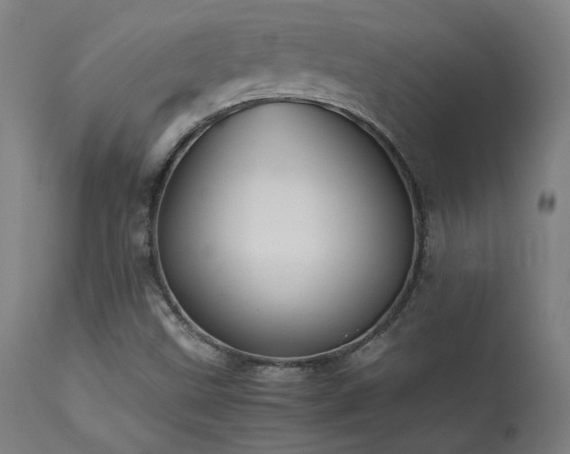 X0000113371499200909221210