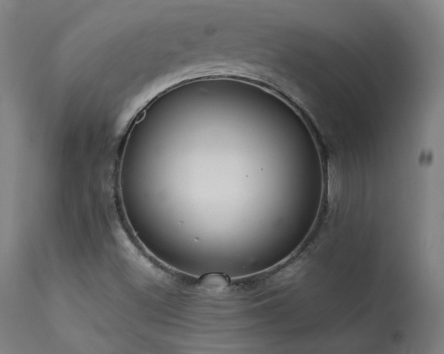X0000113371500200909221210