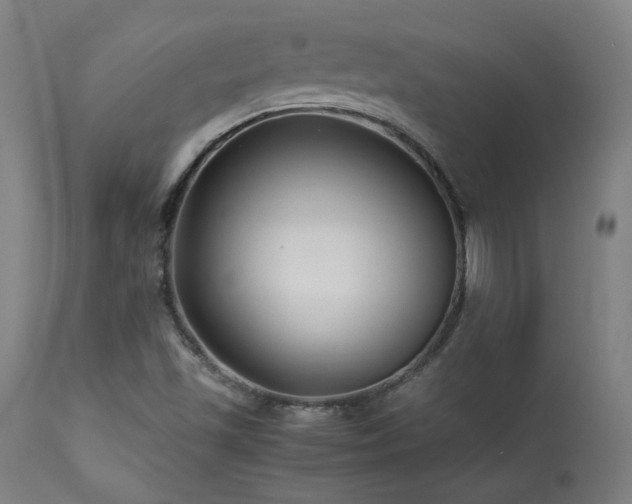 X0000113371501200909221211