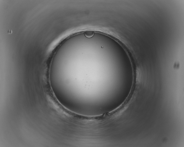 X0000113371502200909221211