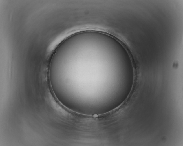 X0000113371504200909221211