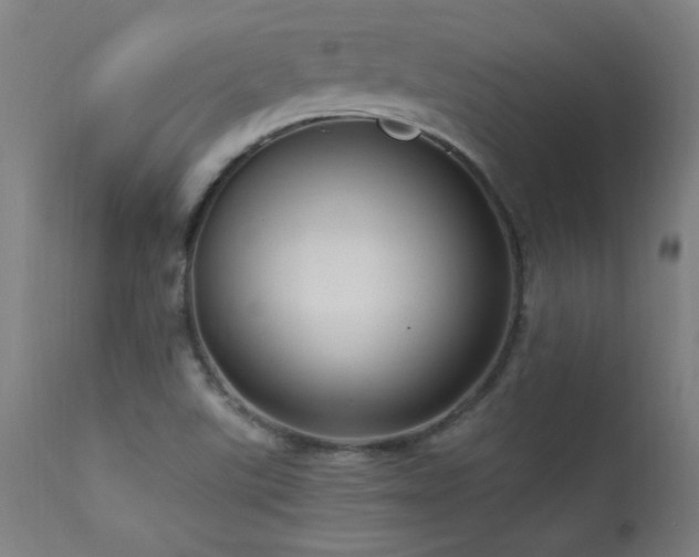 X0000113371507200909221211