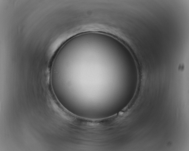 X0000113371509200909221211