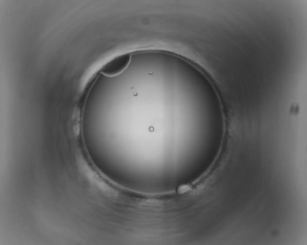 X0000113371510200909221211