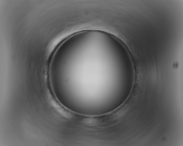 X0000113371511200909221211