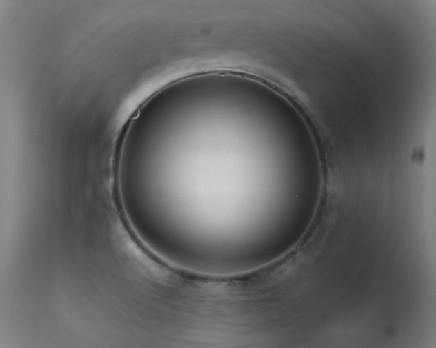 X0000113371512200909221211