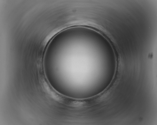X0000113371513200909221211