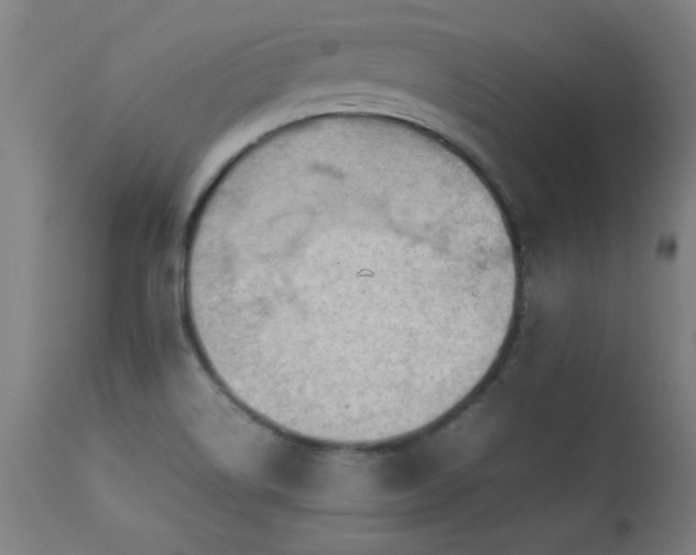 X0000113371514200909221211
