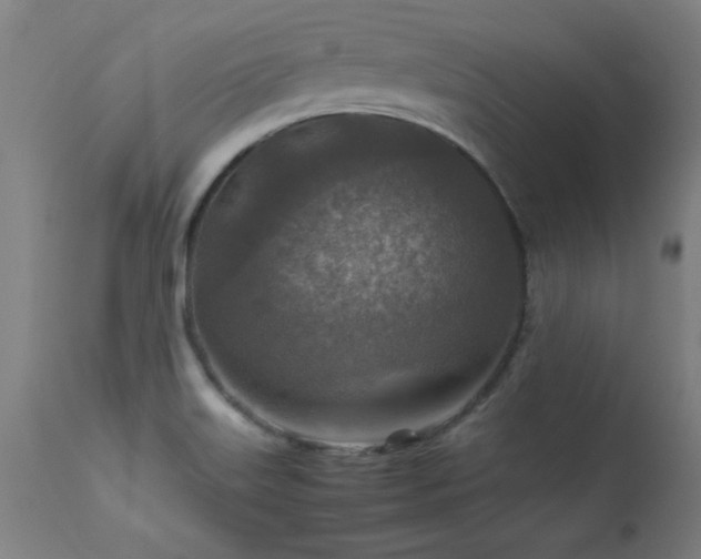 X0000113371515200909221211