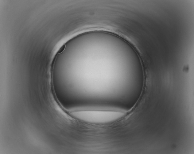 X0000113371516200909221211