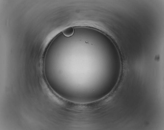 X0000113371517200909221211