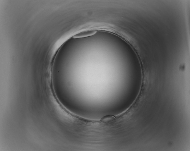 X0000113371520200909221211