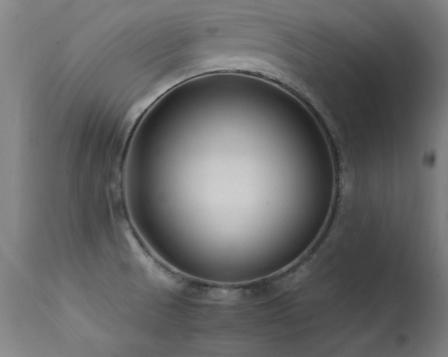 X0000113371521200909221211