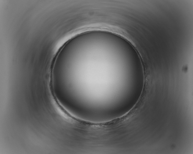 X0000113371523200909221211