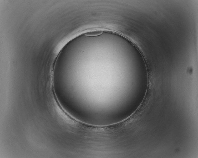 X0000113371524200909221211