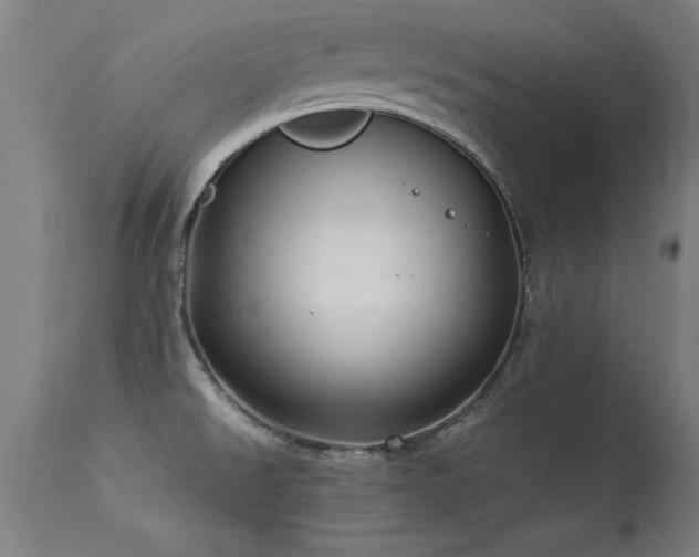 X0000113371526200909221211