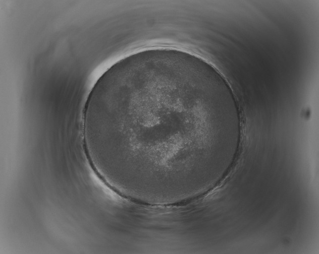 X0000113371527200909221211