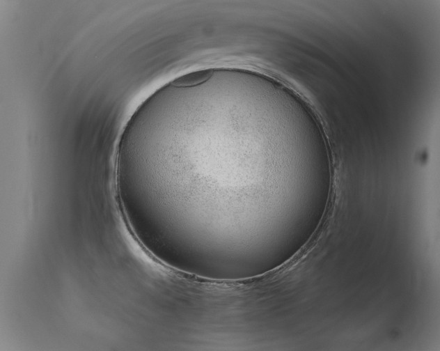 X0000113371528200909221211