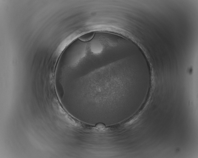 X0000113371529200909221211