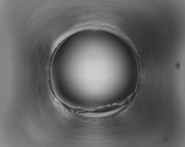 X0000113371530200909221211
