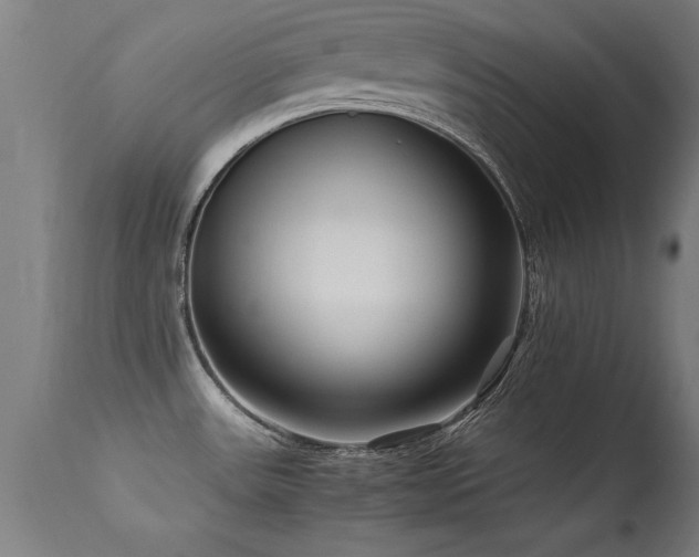 X0000113371531200909221211