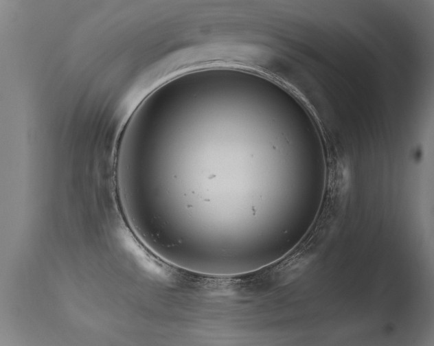 X0000113371532200909221211
