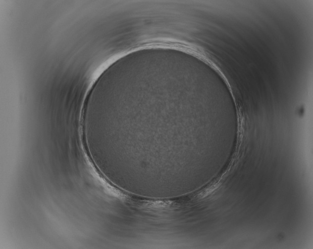 X0000113371533200909221211