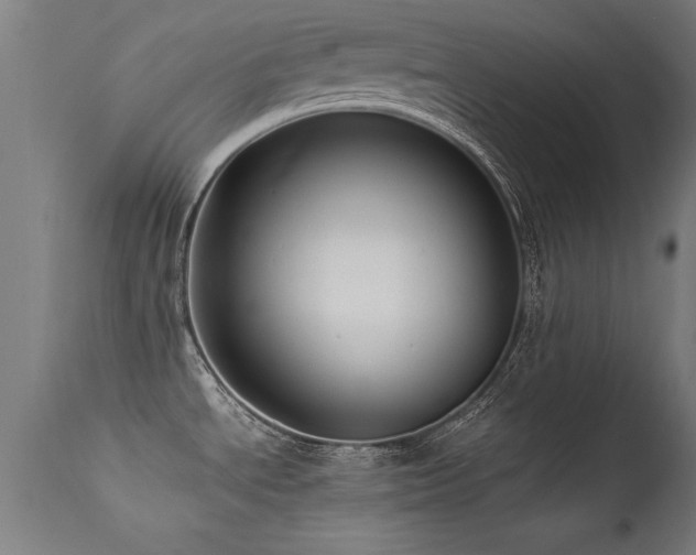 X0000113371534200909221211