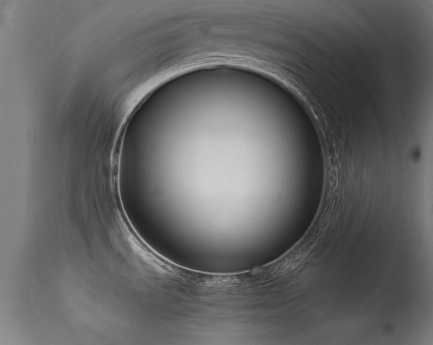 X0000113371535200909221211