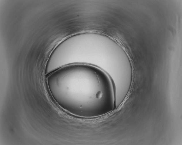 X0000113370001200909291101