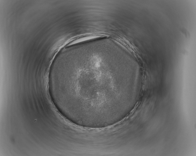 X0000113370002200909291101