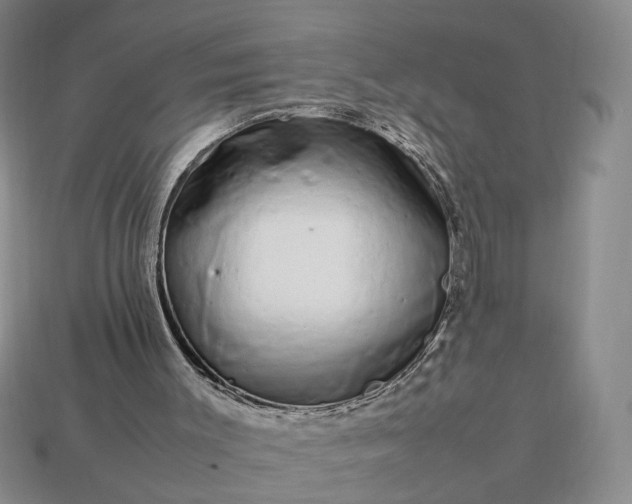 X0000113370003200909291101