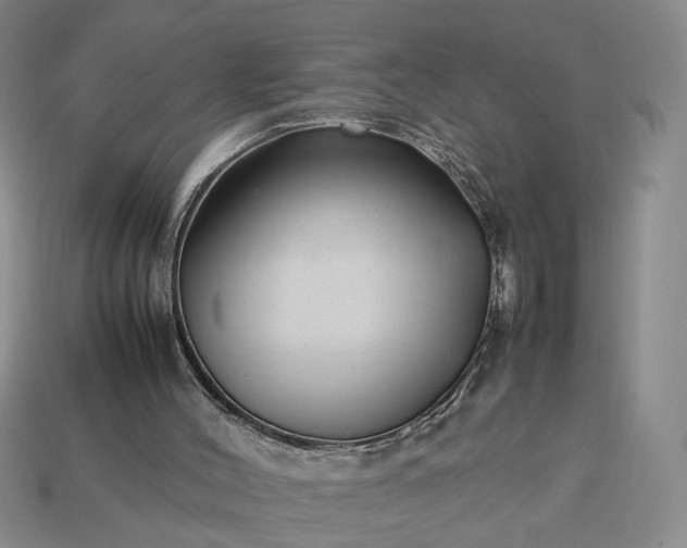 X0000113370004200909291101