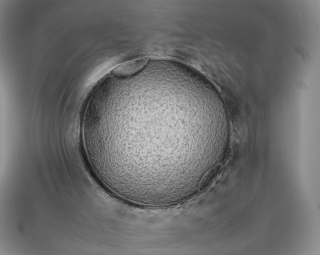 X0000113370005200909291101