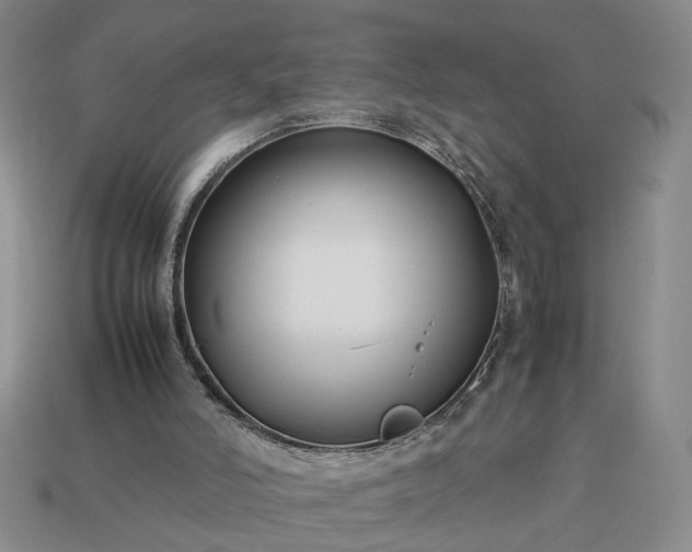 X0000113370006200909291101