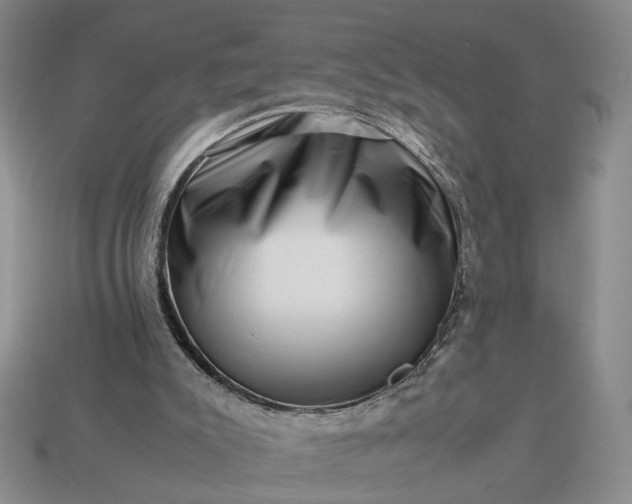 X0000113370007200909291101