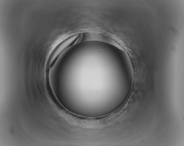 X0000113370008200909291101