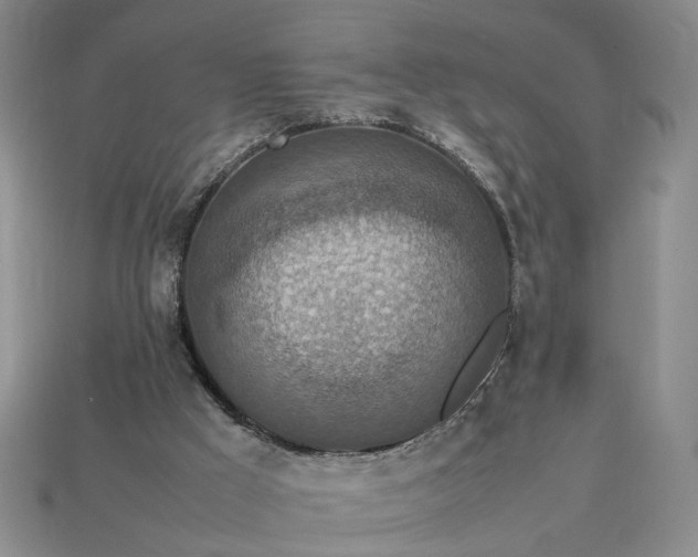 X0000113370009200909291101