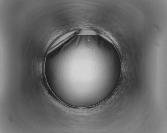 X0000113370010200909291101