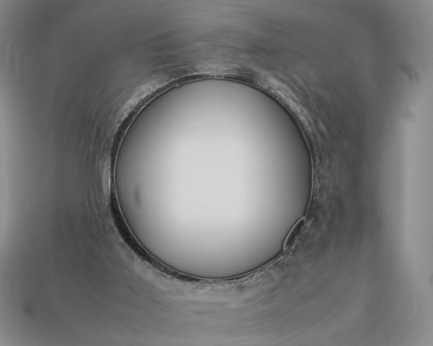 X0000113370011200909291101