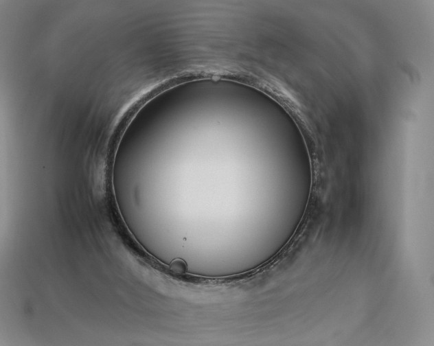 X0000113370012200909291101