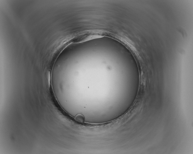 X0000113370013200909291101