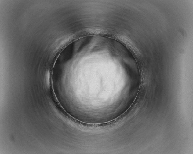 X0000113370014200909291101