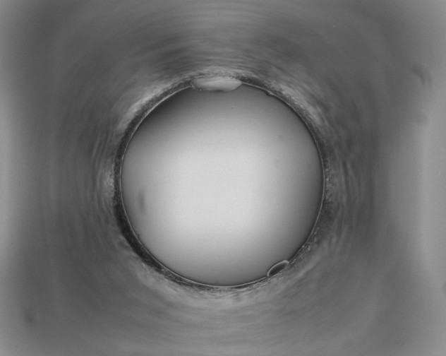 X0000113370015200909291101