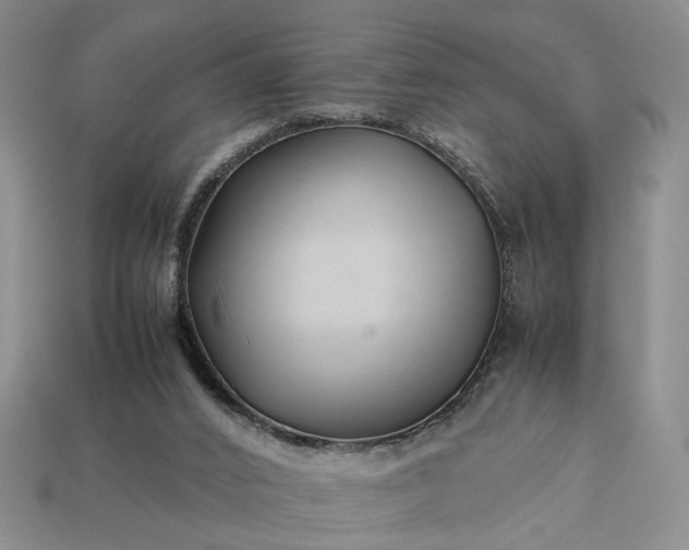 X0000113370016200909291101