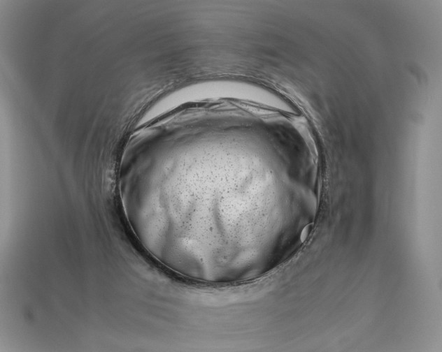 X0000113370017200909291101